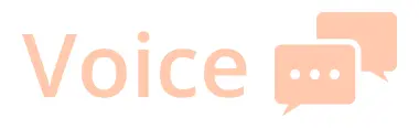 Voice